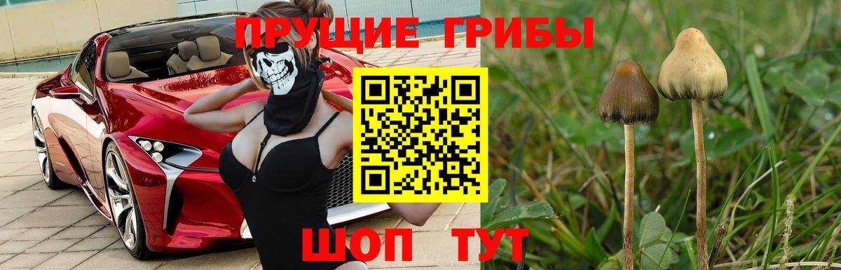 A PVP СОЛЬ   НБОМе  Меф кристаллы  Лсд 25  Муравленко  Вход с VPN  ГАШИШ  МАРИХУАНА 