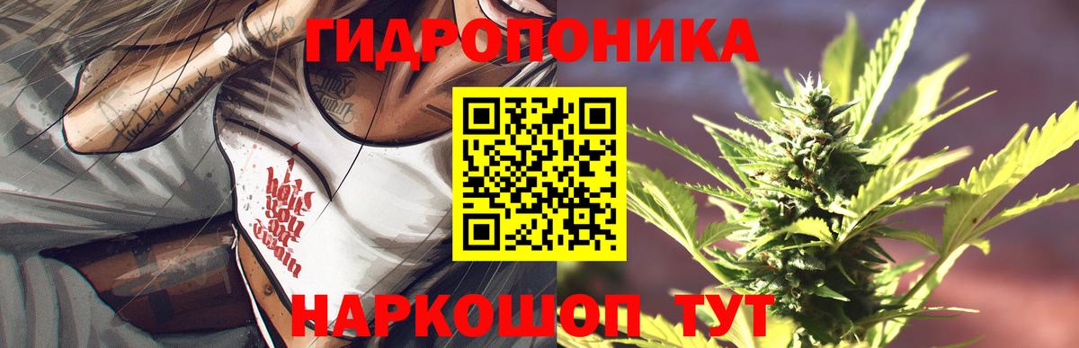 Конопля Amnesia  Бошки марихуана гибрид  Вход с VPN  Муравленко  Каннабис марихуана 
